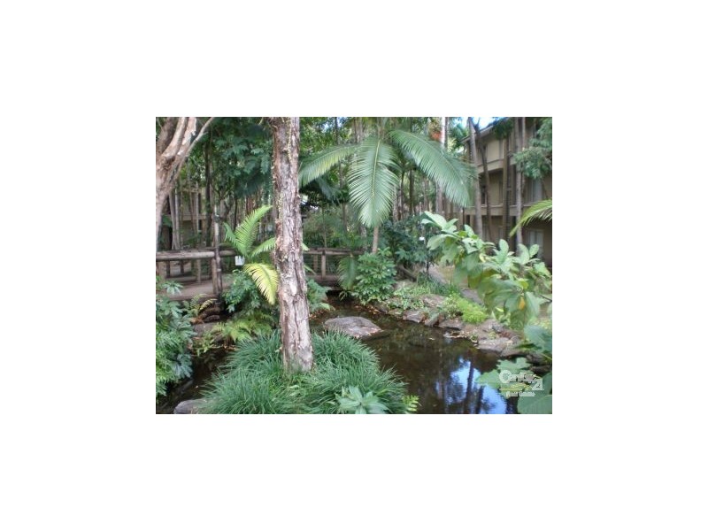 Port Douglas QLD 4877