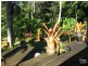 Julatten QLD 4871