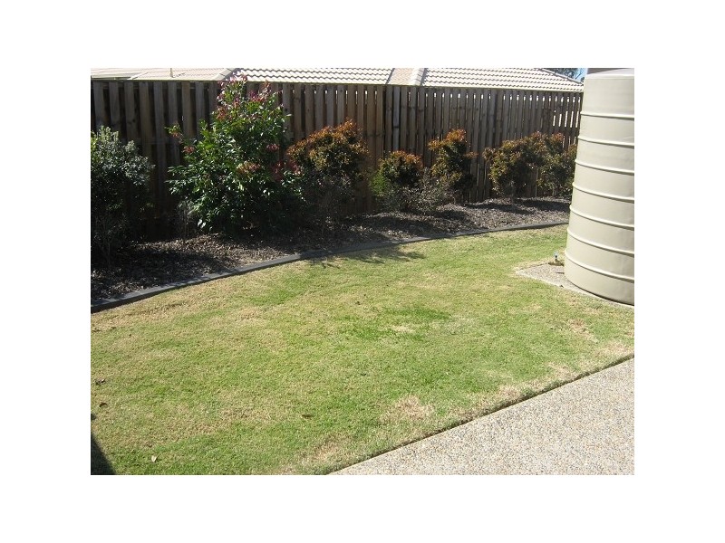 Upper Coomera QLD 4209