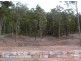 59 Annabelle Crescent, Upper Coomera QLD 4209