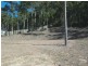 59 Annabelle Crescent, Upper Coomera QLD 4209