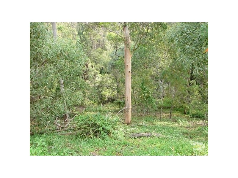 22 Winchester Drive, Nerang QLD 4211