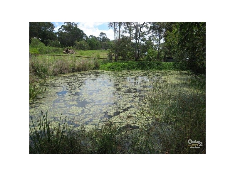 11 Lilac Way, Gaven QLD 4211