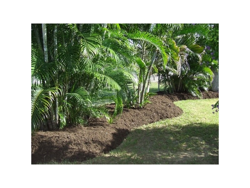 31 Lawrence Street, Kelso QLD 4815