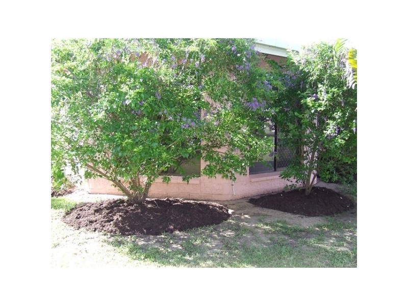 31 Lawrence Street, Kelso QLD 4815