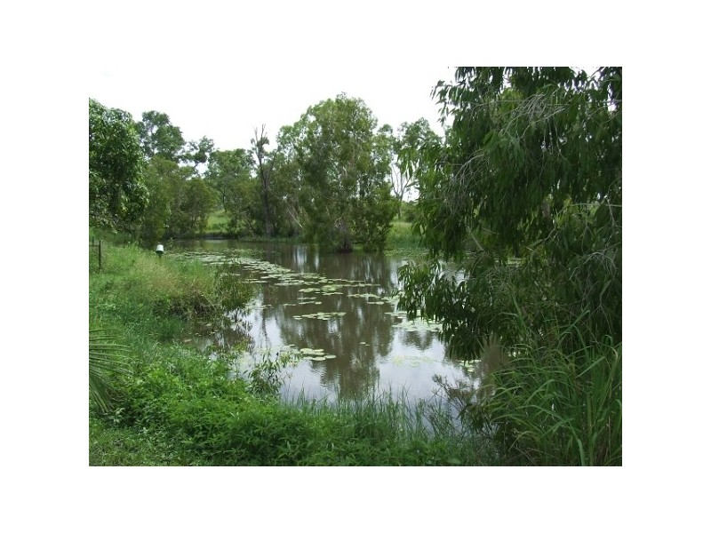 54 Bowden Road, Black River QLD 4818