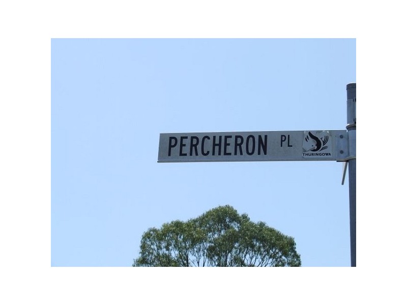 14 Percheron Place, Black River QLD 4818