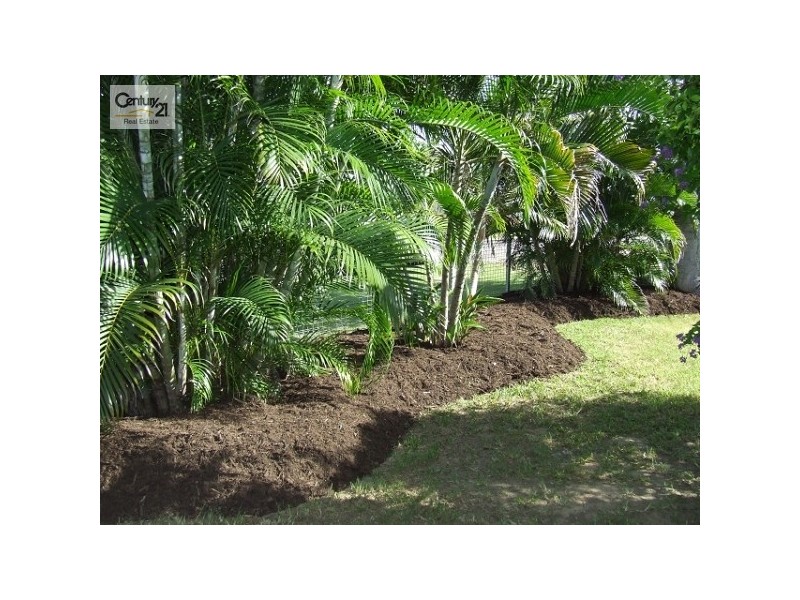 31 Lawrence Street, Kelso QLD 4815