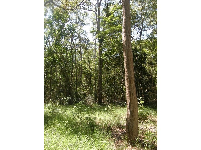 Lot 3 Williams Avenue, Cardwell QLD 4849