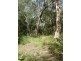 Lot 3 Williams Avenue, Cardwell QLD 4849