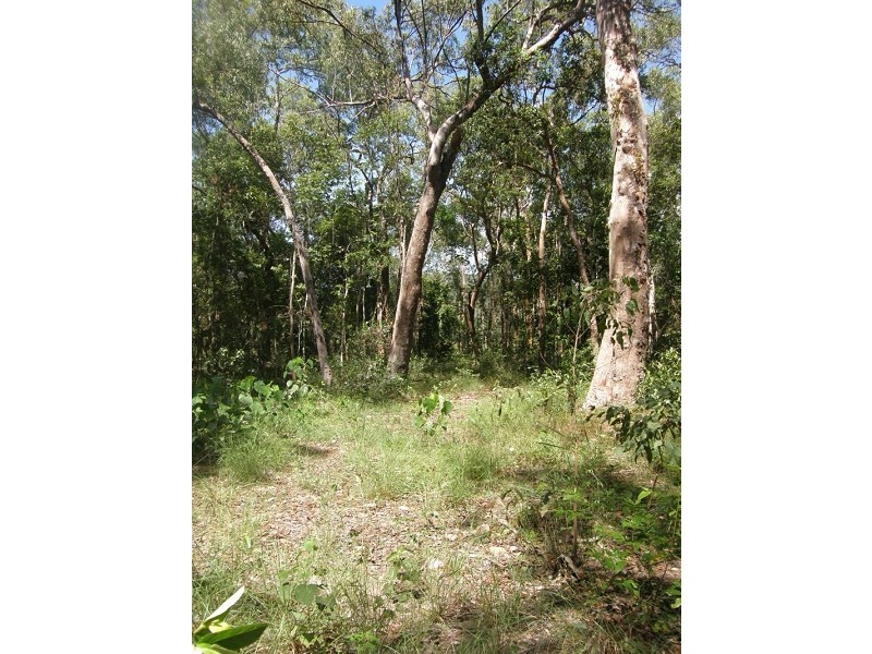 Lot 3 Williams Avenue, Cardwell QLD 4849
