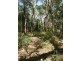 Lot 3 Williams Avenue, Cardwell QLD 4849