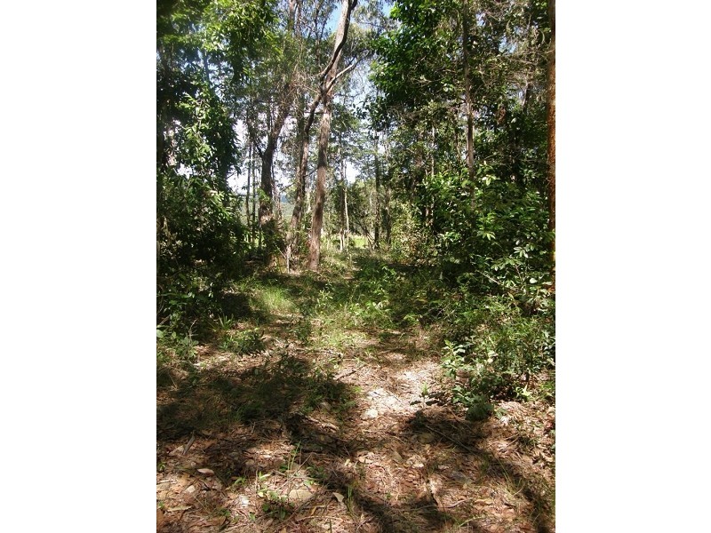 Lot 3 Williams Avenue, Cardwell QLD 4849