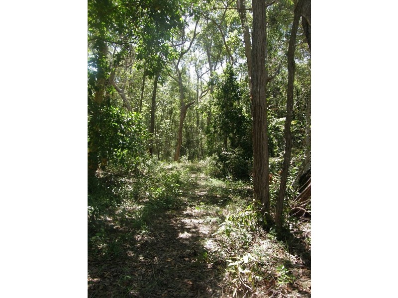 Lot 3 Williams Avenue, Cardwell QLD 4849
