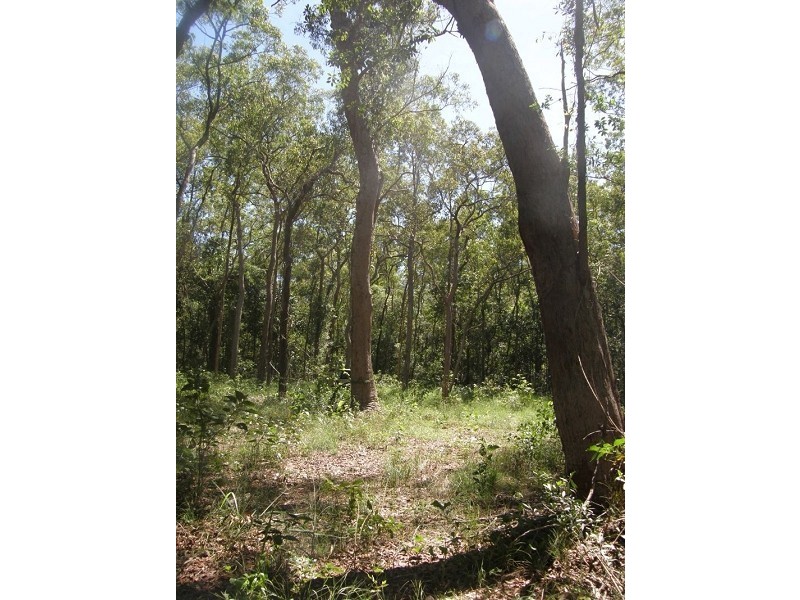 Lot 3 Williams Avenue, Cardwell QLD 4849