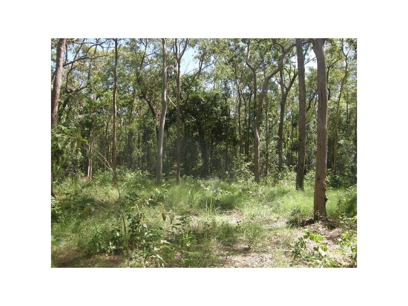 Lot 3 Williams Avenue, Cardwell QLD 4849