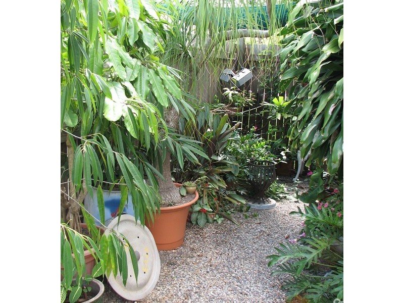 173 Ireland Street, Oonoonba QLD 4811