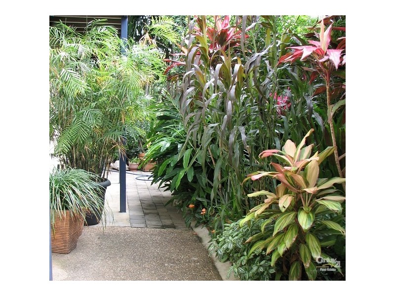 173 Ireland Street, Oonoonba QLD 4811