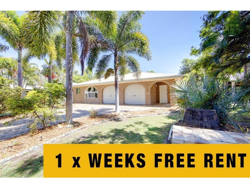 6 Birch Court, Bushland Beach QLD 4818