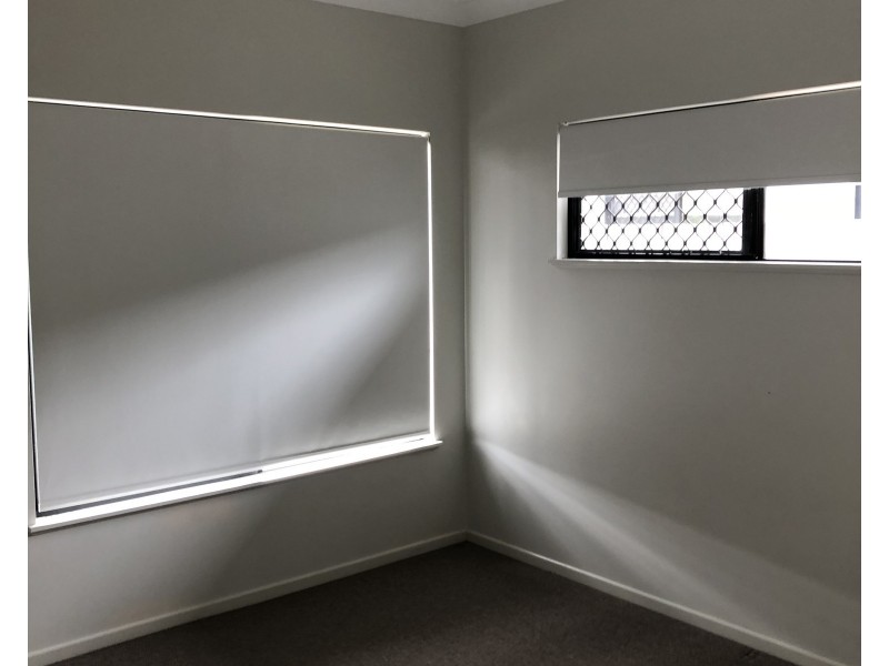 73 Daintree Drive, Bushland Beach QLD 4818