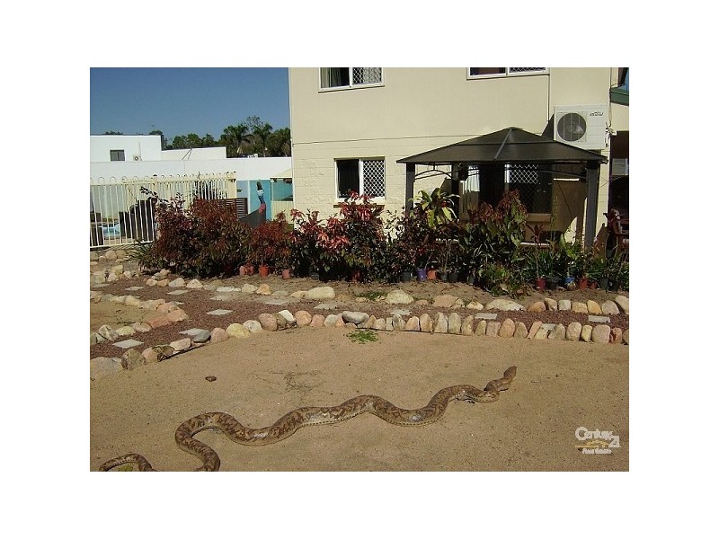 371 Mount Low Parkway, Bushland Beach QLD 4818