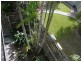 Kirwan QLD 4817