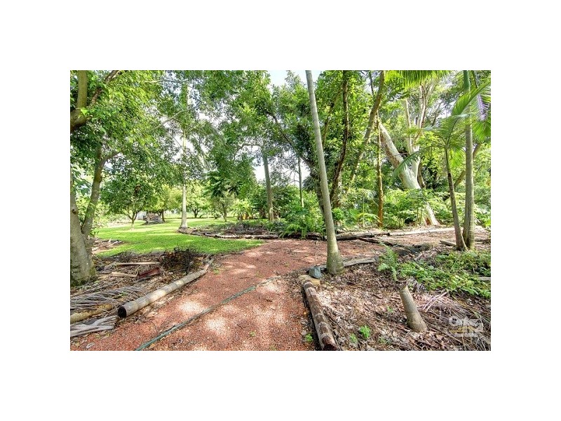 435 Forestry Road, Bluewater Park QLD 4818