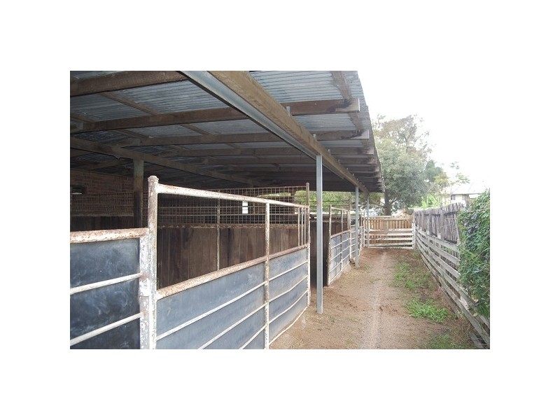 124 Rodboro Street, Berserker QLD 4701