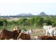 204 Dairy Inn Road, Ironpot QLD 4701
