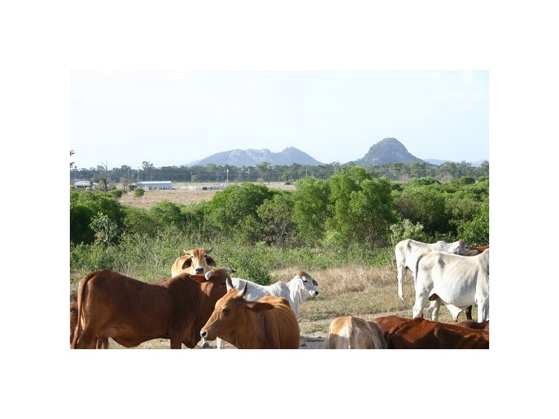 204 Dairy Inn Road, Ironpot QLD 4701