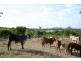 204 Dairy Inn Road, Ironpot QLD 4701