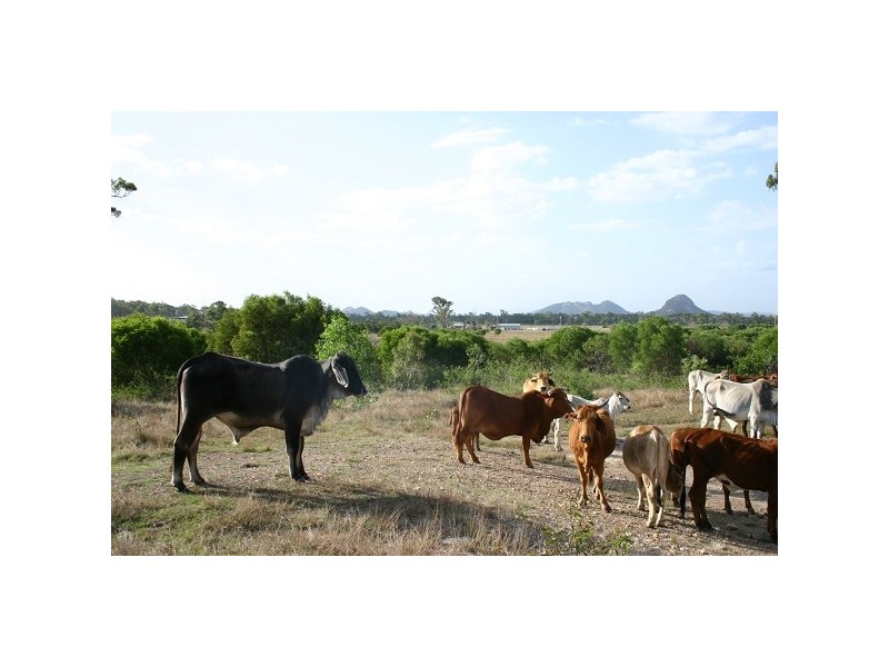204 Dairy Inn Road, Ironpot QLD 4701