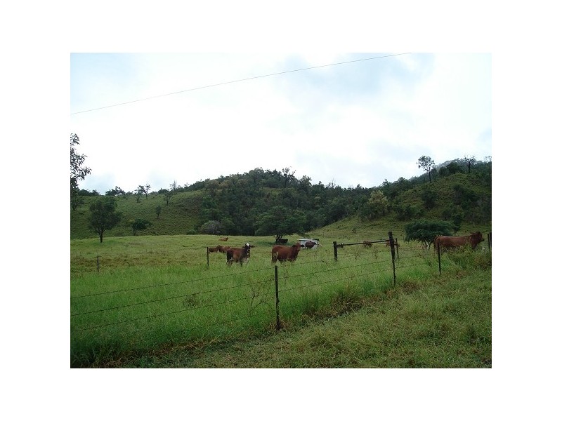 1395 Stanwell Waroula Road, Dalma QLD 4702