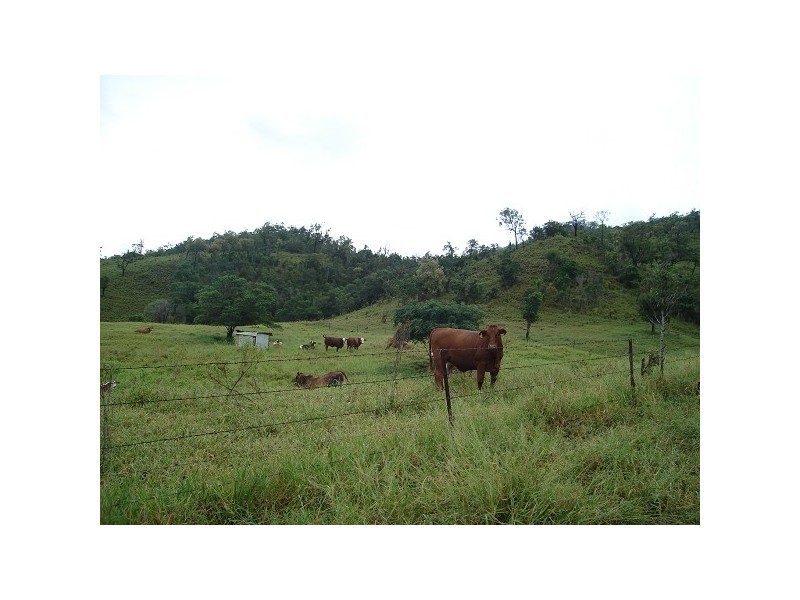 1395 Stanwell Waroula Road, Dalma QLD 4702