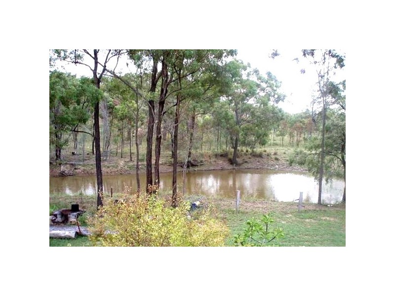 323 E Williams Road, Kabra QLD 4702
