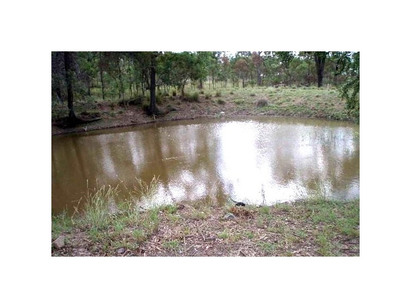 323 E Williams Road, Kabra QLD 4702