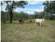 Lot 46 Oakey Creek Road, Boulder Creek QLD 4714
