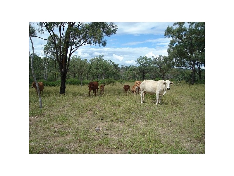 Lot 46 Oakey Creek Road, Boulder Creek QLD 4714