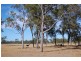 47953 Burnett Highway, Dululu QLD 4702