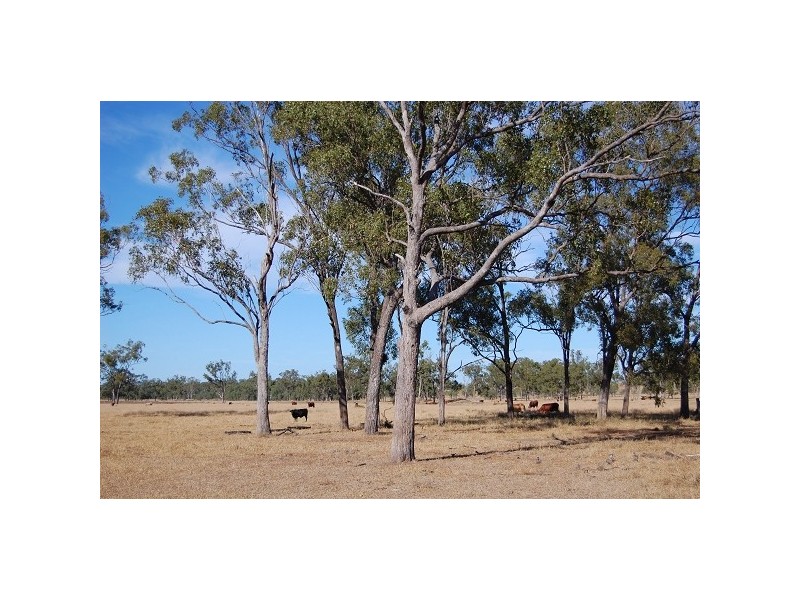 47953 Burnett Highway, Dululu QLD 4702