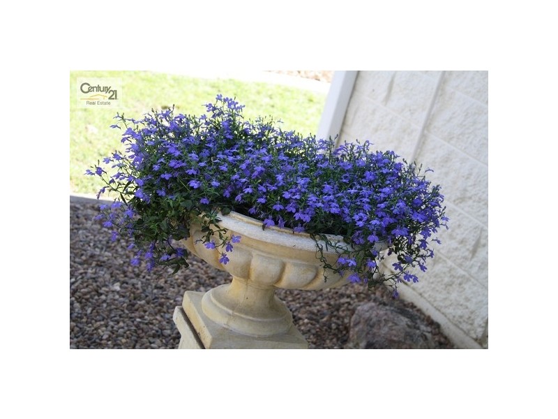 8 Rutherford Street, Kawana QLD 4701