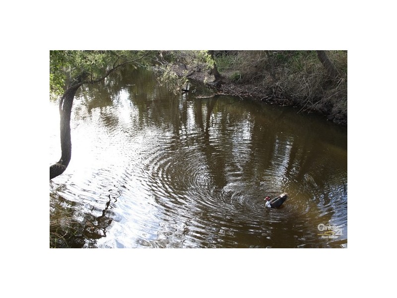 88 Seiferts Road, Bondoola QLD 4703