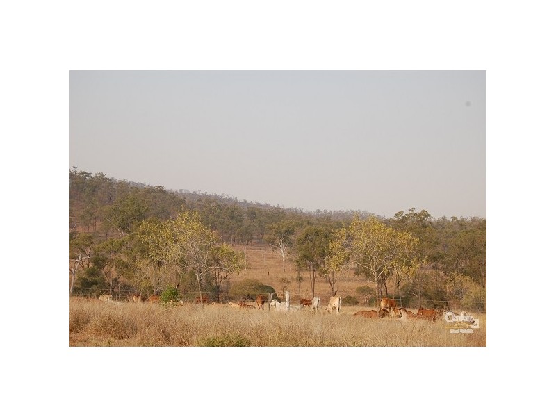 185 Stanwell Waroula Road, Stanwell QLD 4702