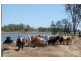 Lot 248 Fogarty Road, Fairy Bower QLD 4700
