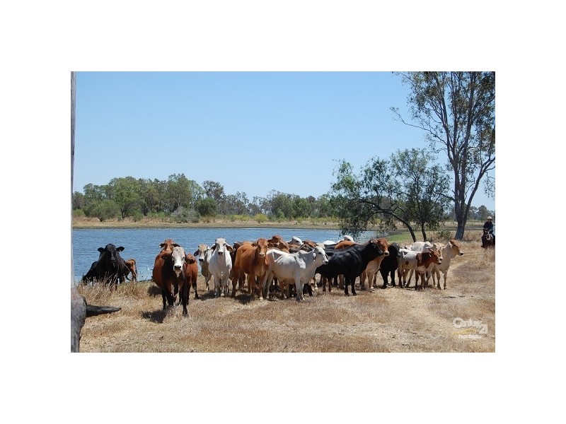Lot 248 Fogarty Road, Fairy Bower QLD 4700