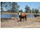 Lot 248 Fogarty Road, Fairy Bower QLD 4700