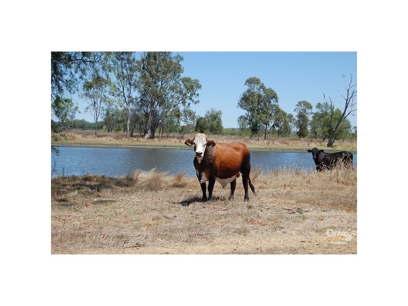 Lot 248 Fogarty Road, Fairy Bower QLD 4700
