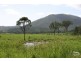 71 Thompsons Point Road, Thompson Point QLD 4702