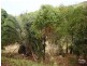 Barlows Hill QLD 4703