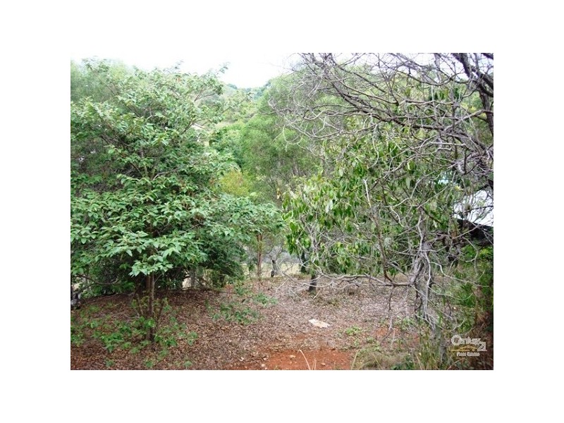 Barlows Hill QLD 4703